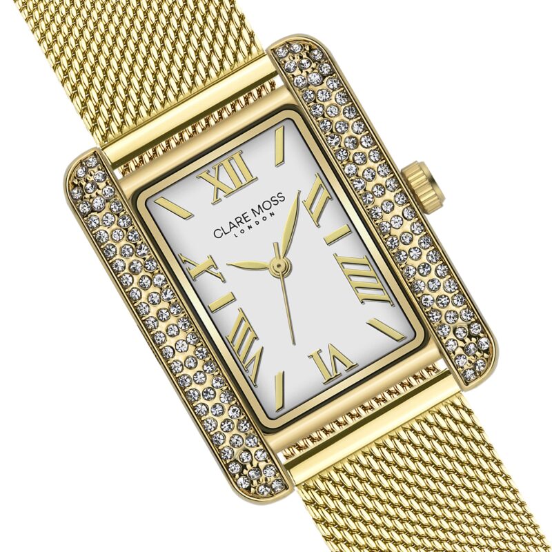 C&M Gold Mesh - Image 3