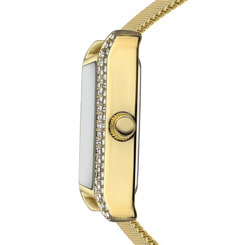 C&M Gold Mesh - Image 4