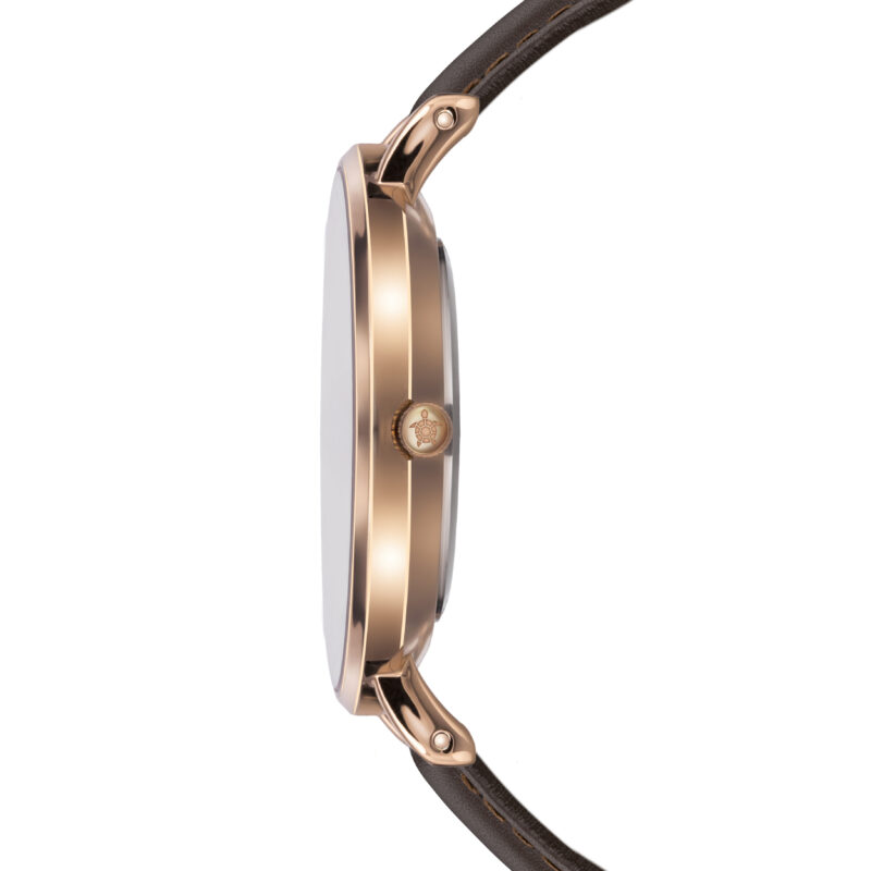 Gold Sky Brown Leather - Image 16