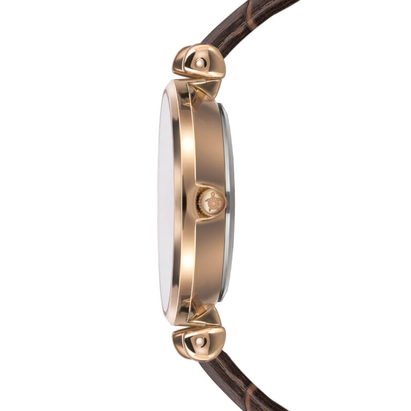 Gold Shore Brown Leather - Image 17