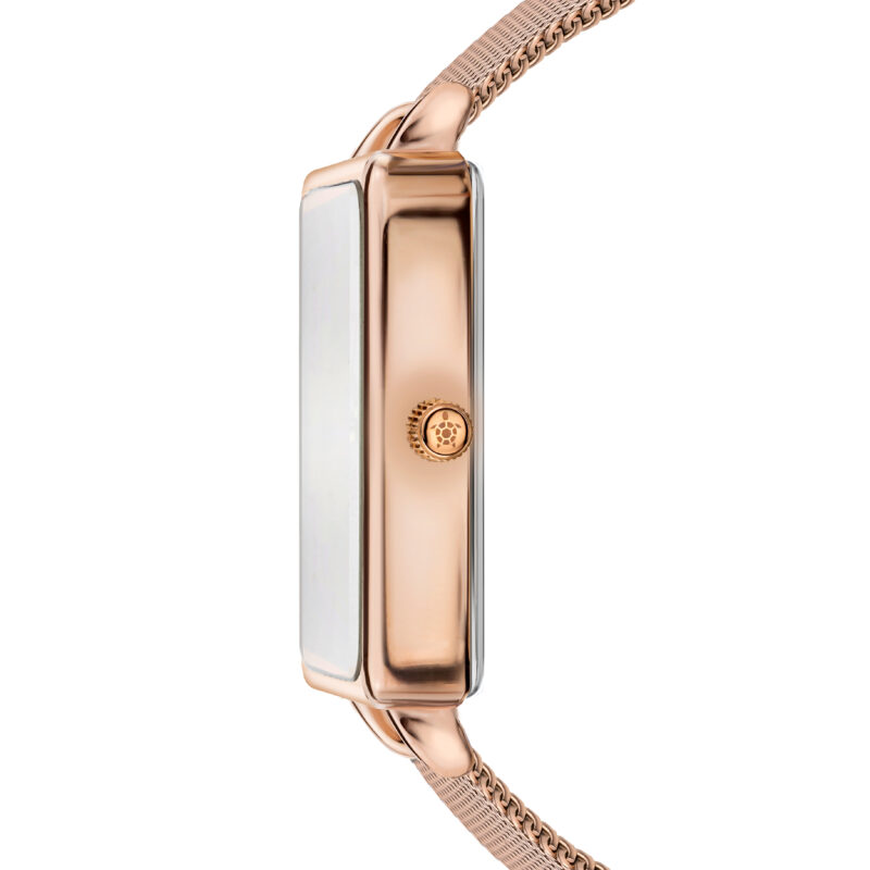 Blissful Beach Rose Gold Mesh - Image 17