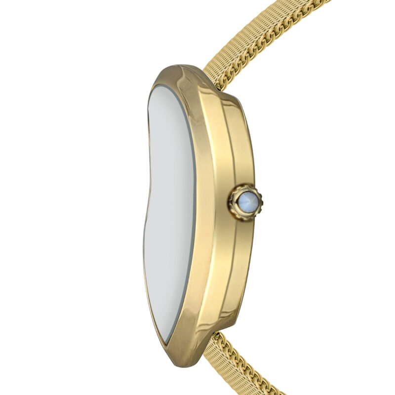 Old money  Gold Mesh - Image 11