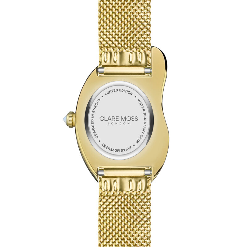 Old money  Gold Mesh - Image 12