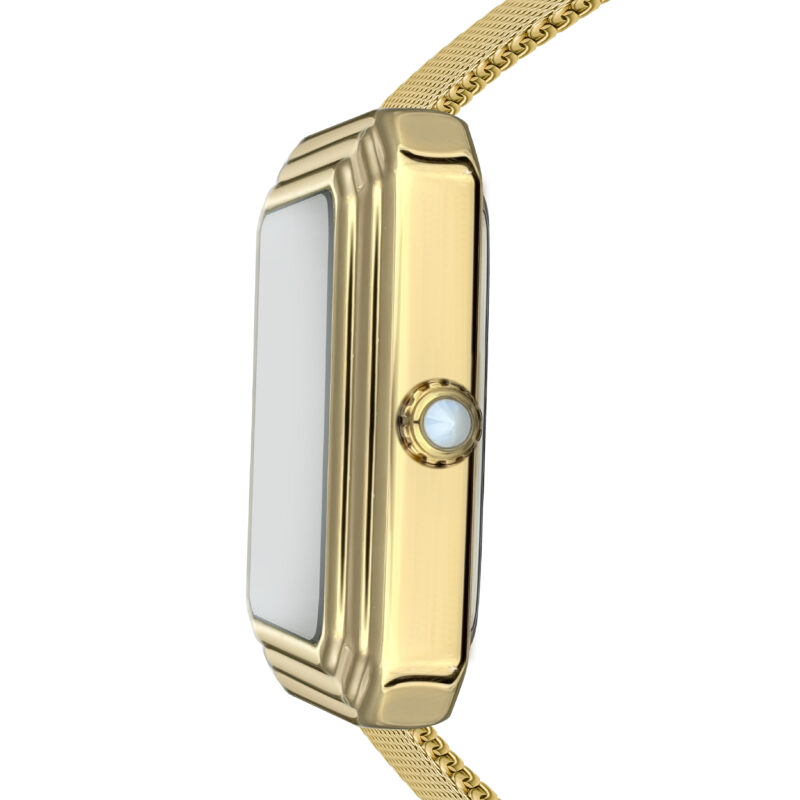 Piccadilly Gold Mesh - Image 4