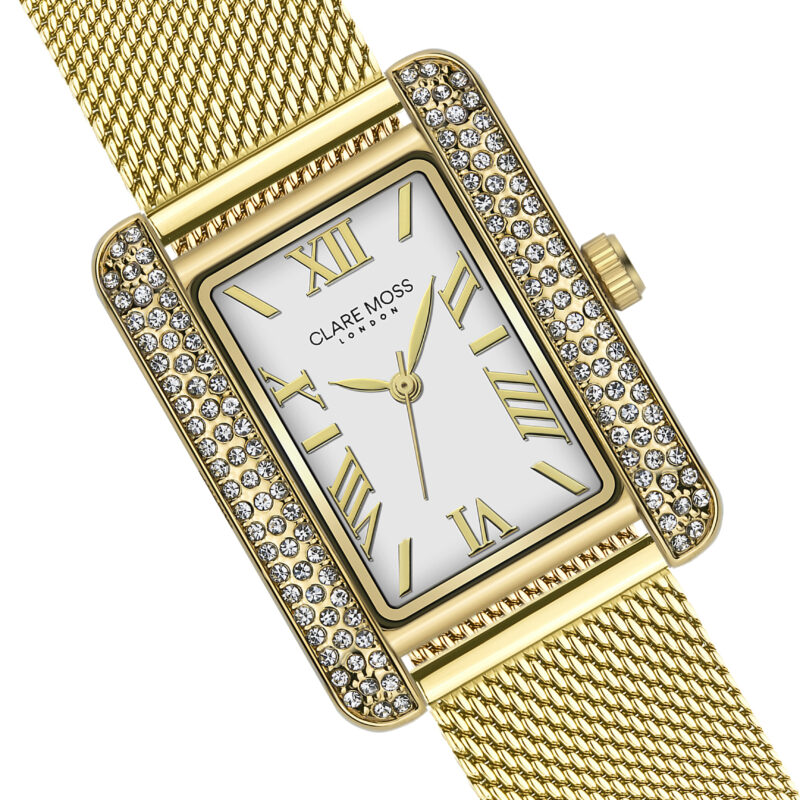 C&M Gold Mesh - Image 10