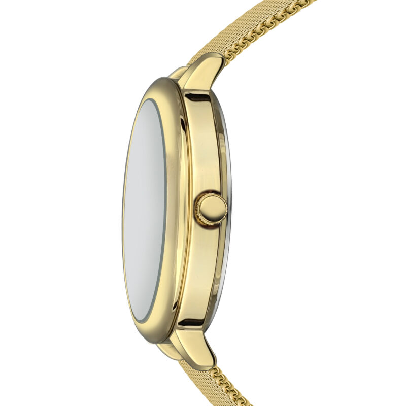 Chic  Gold Mesh - Image 11