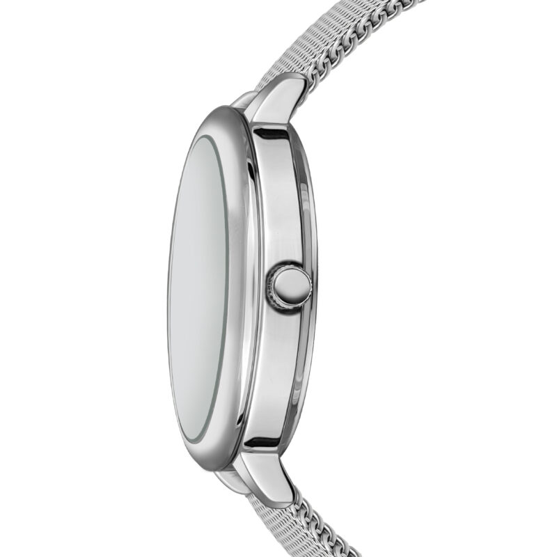 Rose Silver Mesh - Image 11