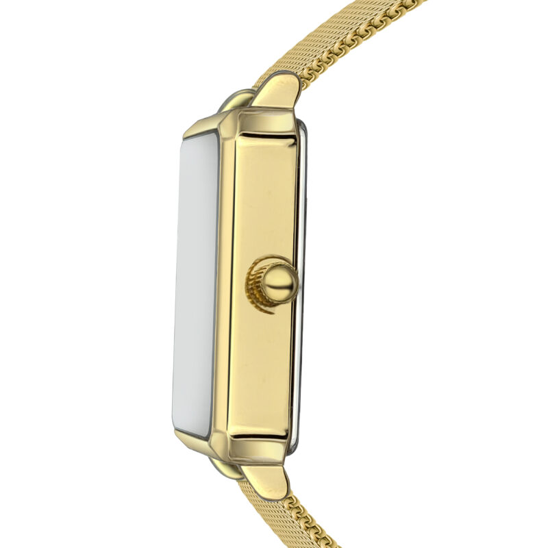 Champagne  Gold Mesh - Image 11
