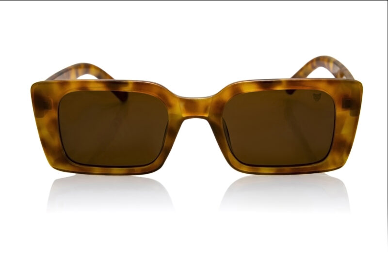 Laguna Amber - Image 9