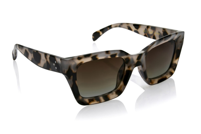 Clare Brown Tortoise - Image 10