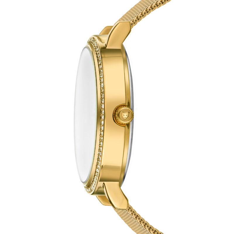 Paris Gold Mesh - Image 3
