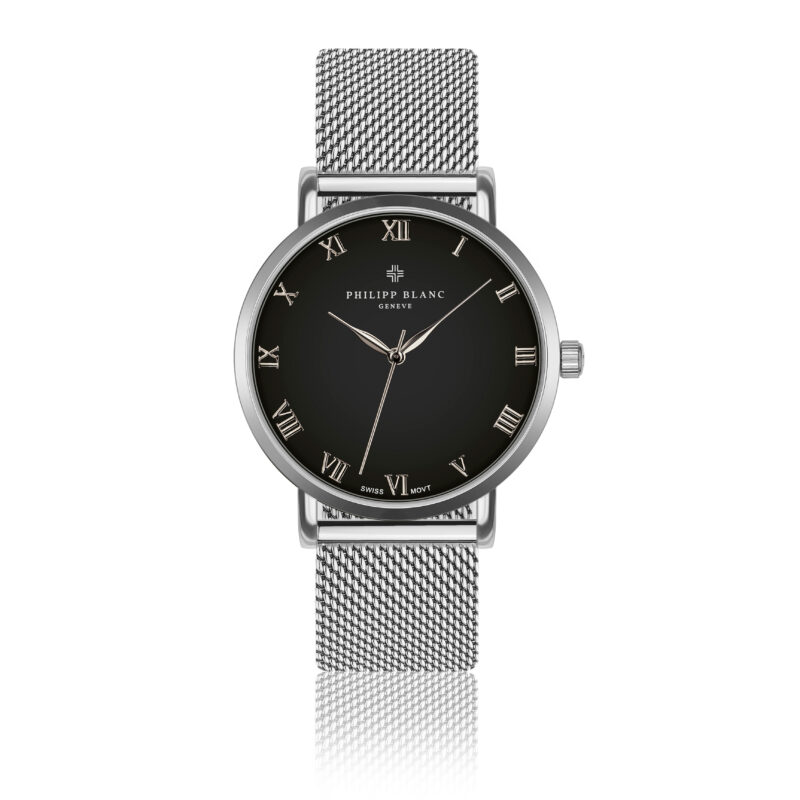 Silver Bern silver mesh - Image 17