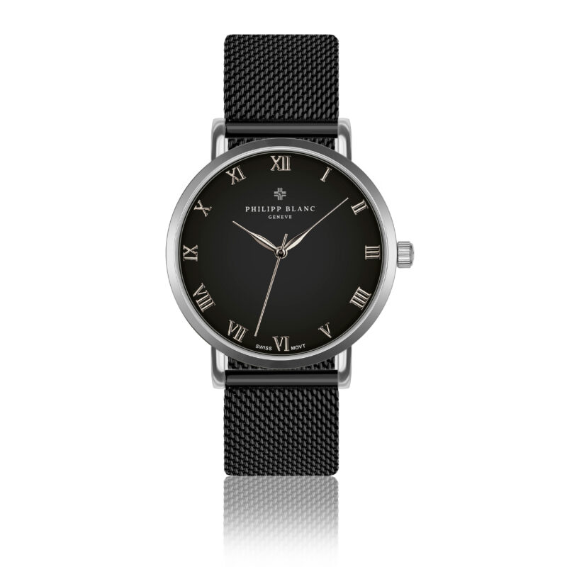 Silver Bern black mesh - Image 18