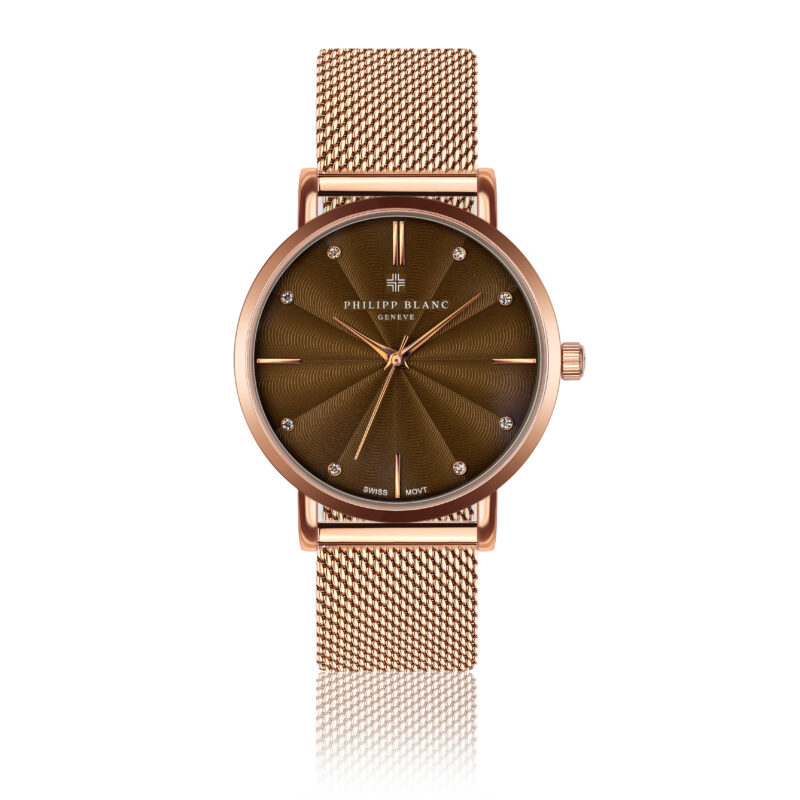 Lucerne rose gold link - Image 15