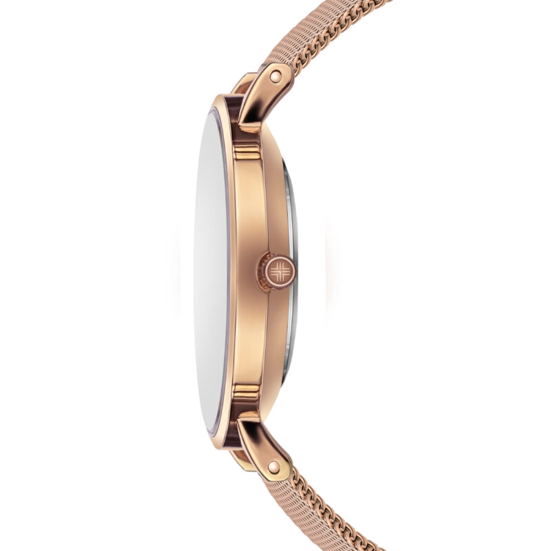 Lucerne rose gold link - Image 17