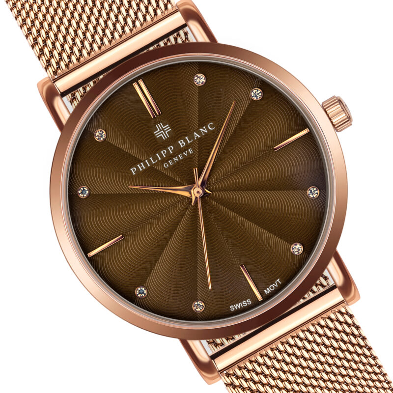 Lucerne rose gold link - Image 19