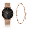 Fossil Set