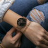 Fossil Set - Image 14