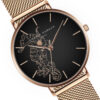Fossil Set - Image 16