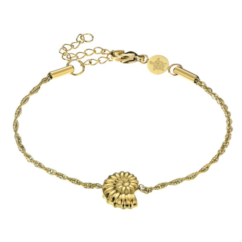 Cael  in Gold