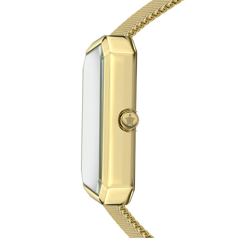 Terrene Gold Mesh - Image 5