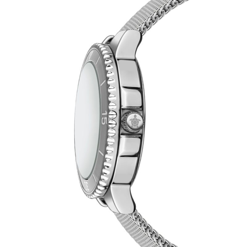Aquelle Silver Mesh - Image 5