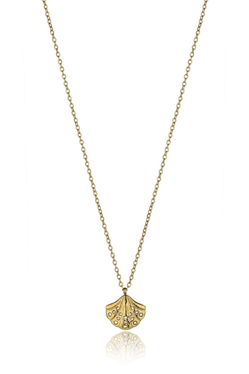 CoralCove in Gold