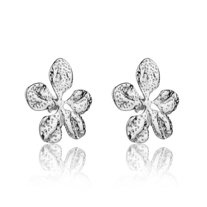 Seabyn Set in Silver - Image 5