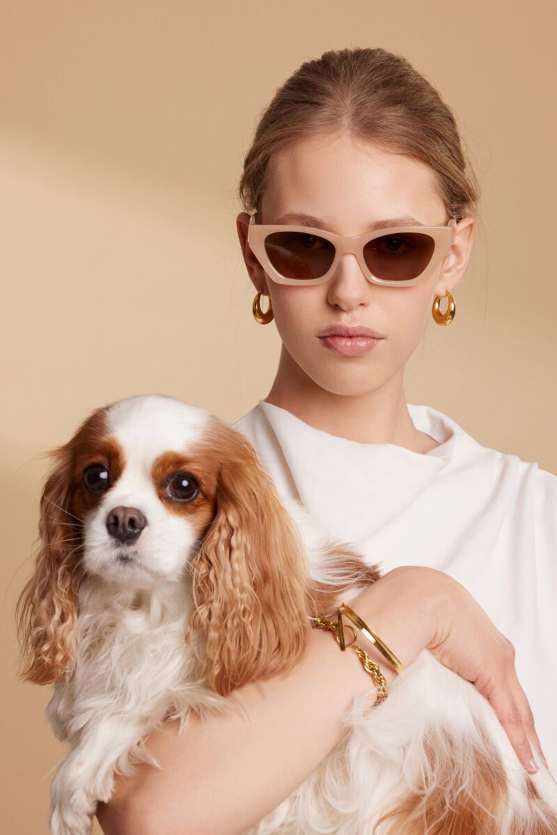 CATWALK CHAMPAGNE - Image 4