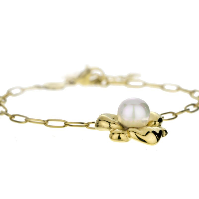 Desert Gold Mesh Set - Image 3